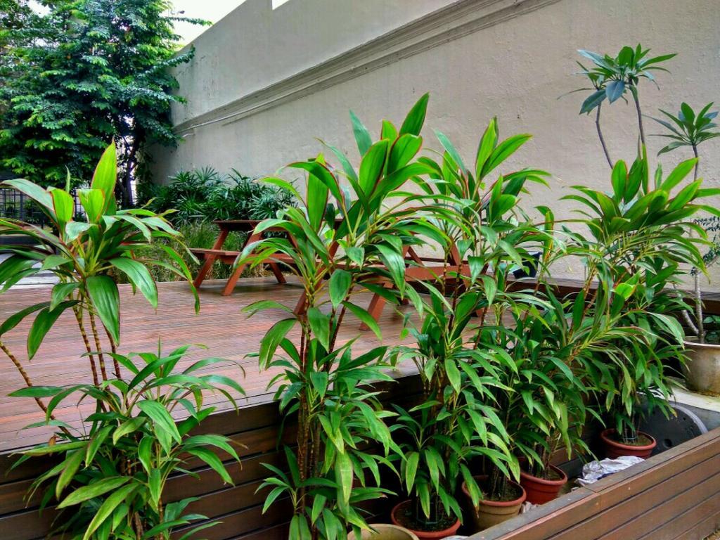 Khách sạn hẻo lánh Greatwood At Devonshire